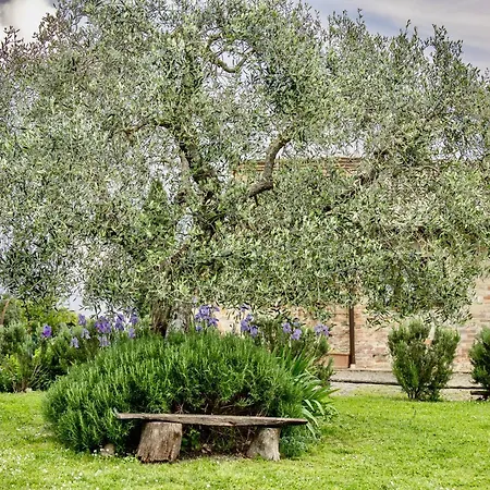 Podere Montechiari Daire *